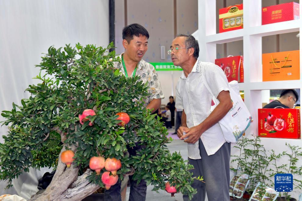 奇亿娱乐平台钱69686